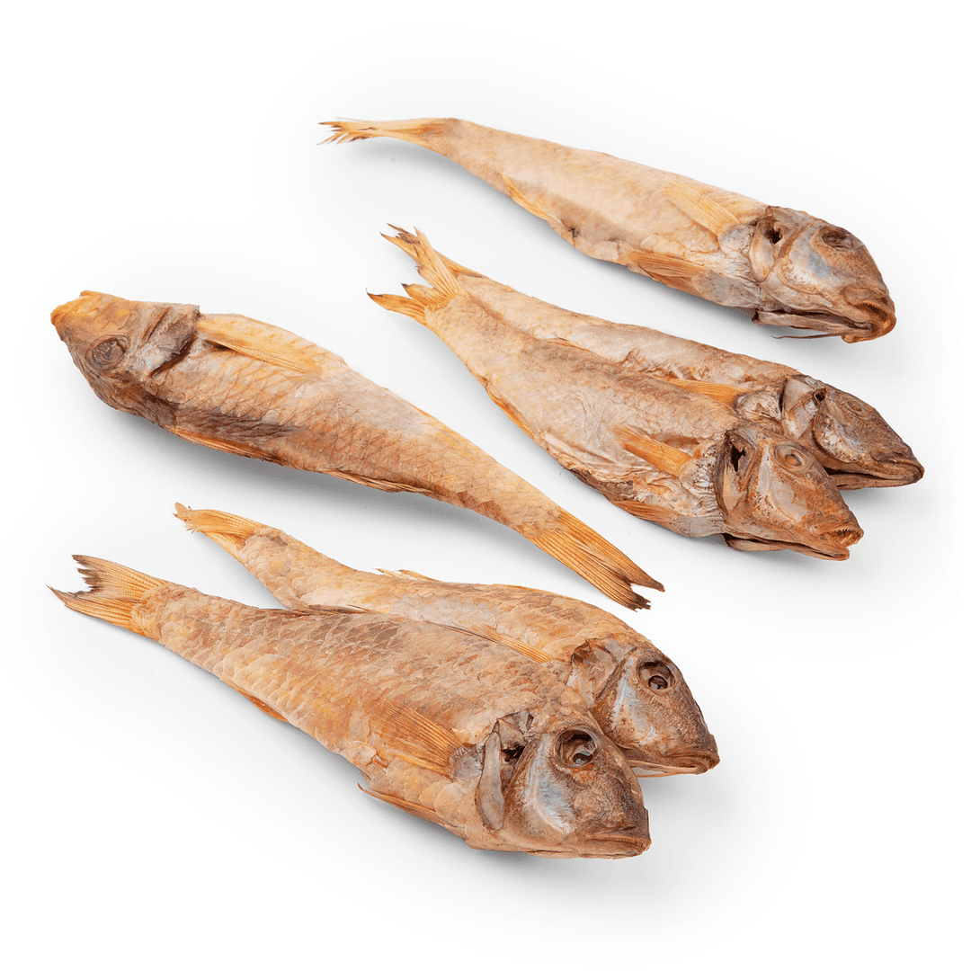 product-Mullus barbatus